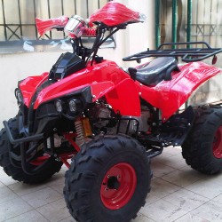 ATV 110 cc ROMCA   Automatic