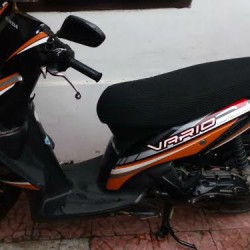 vario1