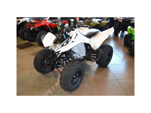 atv 250cc Model TRX Deluxe 2016 - Gambar1