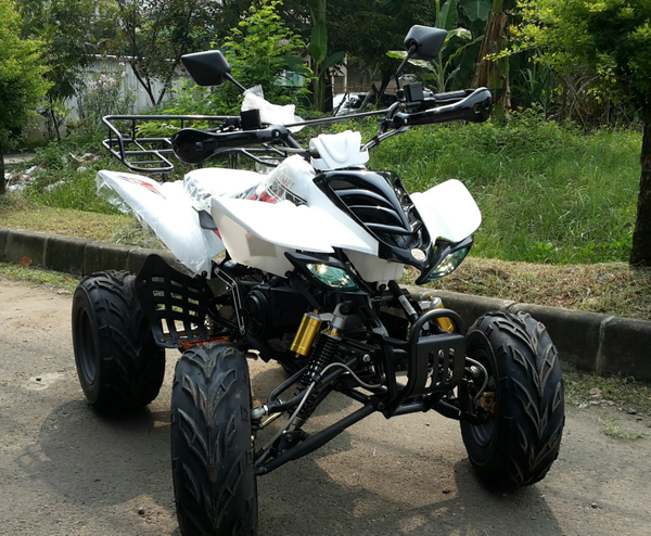 atv 150cc Type Sport (2)