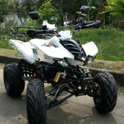 atv 150cc Type Sport (2)