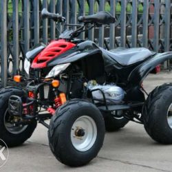 Motor ATV anak 110cc Ring 6
