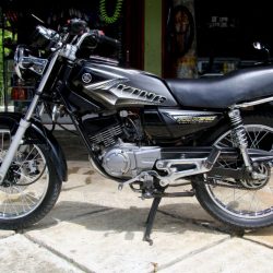 rx.king thn 2008.