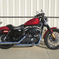 Harley-davidson Sportster