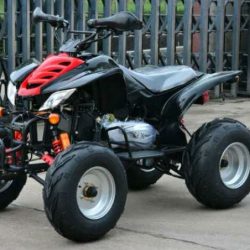 Motor ATV anak 110cc Ring 6