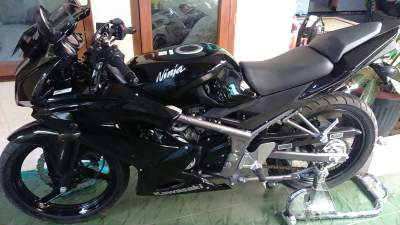 Ninja RR 150 2015__1468575513_222.124.113.66