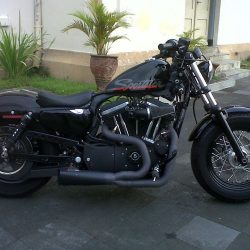 Harley Davidson SPORTSTER 48 2011