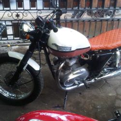 Triumph T120