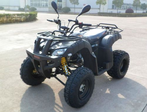 atv 250cc matic11