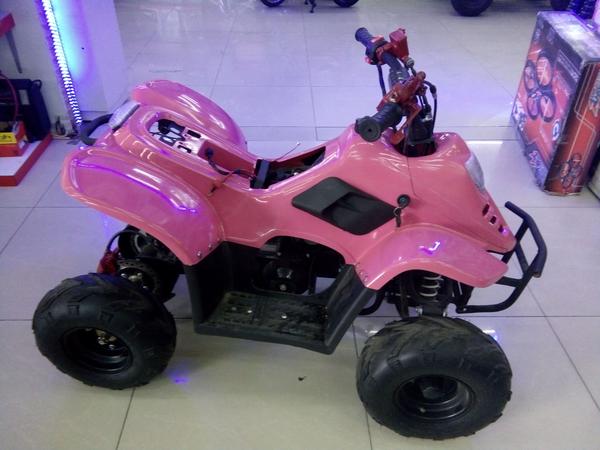 ATV_Speedy_110ccj