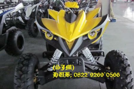 Manual Sport Racing 200CC ATV Electric One Seat With Chain Drive