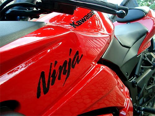 ninja250_fairing_kiri_small