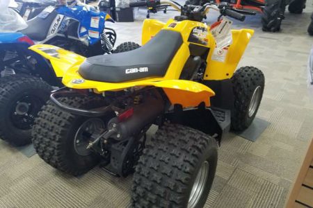 2016 CAN-AM DS 90 3CGA (2)
