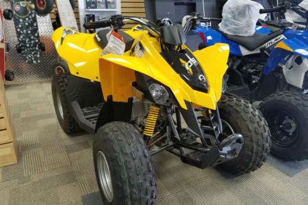 2016 CAN-AM DS 90 3CGA (3)