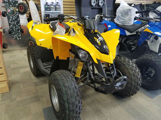 2016 CAN-AM DS 90 3CGA