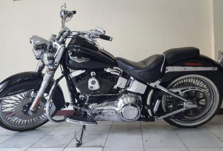jual harley davidson softail