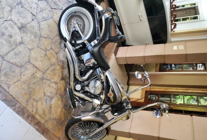 jual harley davidson softail